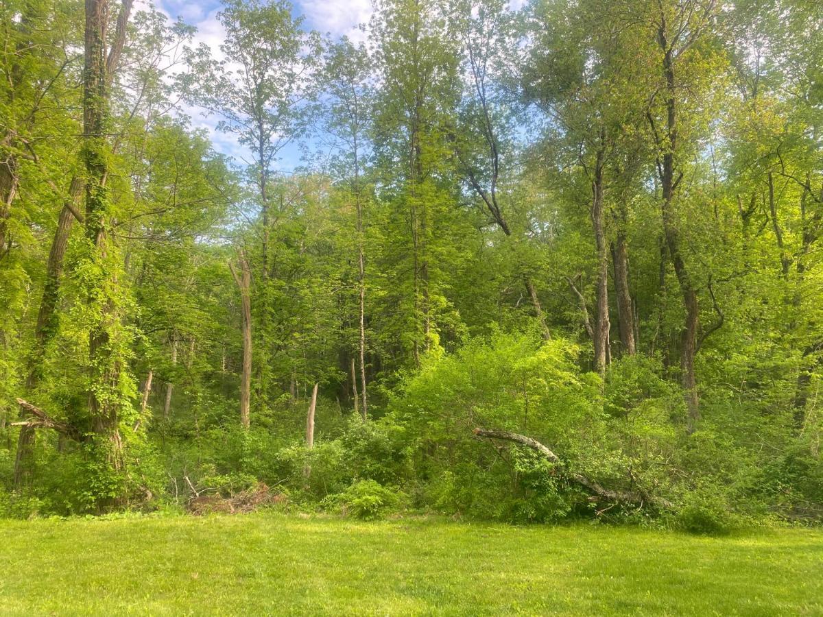 Newly Renovated 3Br Hudson Valley House Ulster Park Екстериор снимка